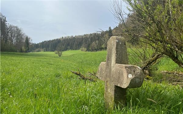 Für kritische Stimmen aus Sulz sorgen die Pläne des Regionalverbandes Nordschwarzwald, das Kuppinger Tal im Bereich des Jägersteins als Vorranggebiet für Windkraft auszuweisen. GB-Foto: Priestersbach