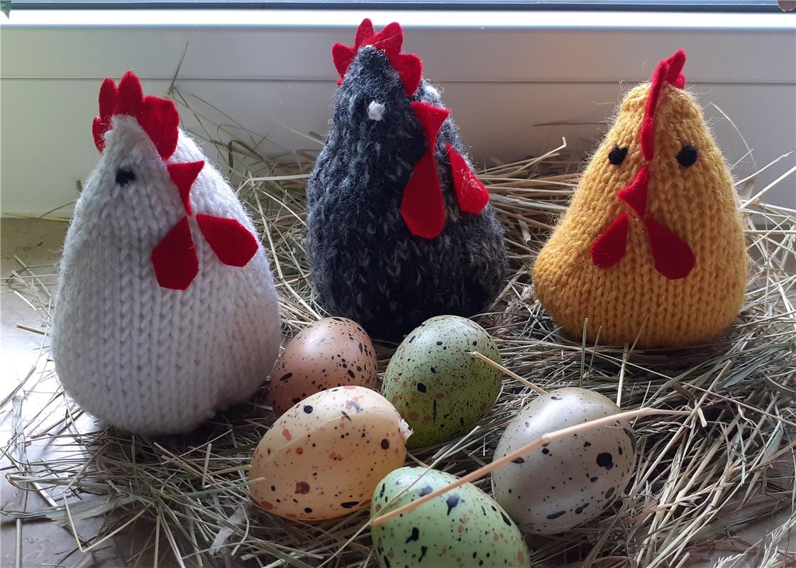 Meine Hühner bewachen ihre Eier, damit der Osterhase sie nicht klaut. Von Lina E...