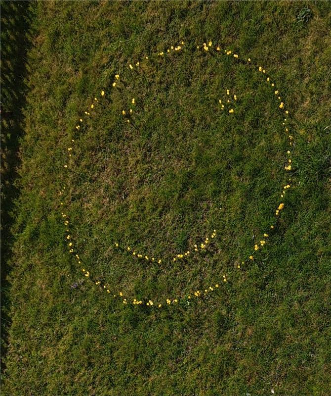 Smiley mit gelben Krokussen. Von Harald Jauß aus Gärtringen.