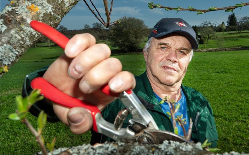 Wilfried Holder pflegt weiterhin seine Baumwiesen – sein Amt als Ortsvorsitzender hat er im Februar abgegeben. GB-Foto: Vecsey