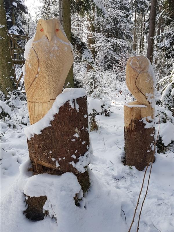  Die Kunst im Haslacher Wald: Waldemar Mrozek hat die schneebedeckten Vögel auf ...