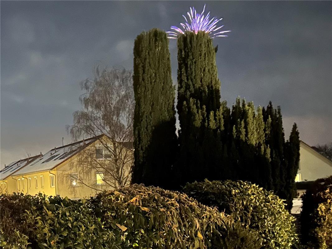  Erschienen An Silvester blühen die Zypressen in Gültstein. Von Renate Bauer-Rie...