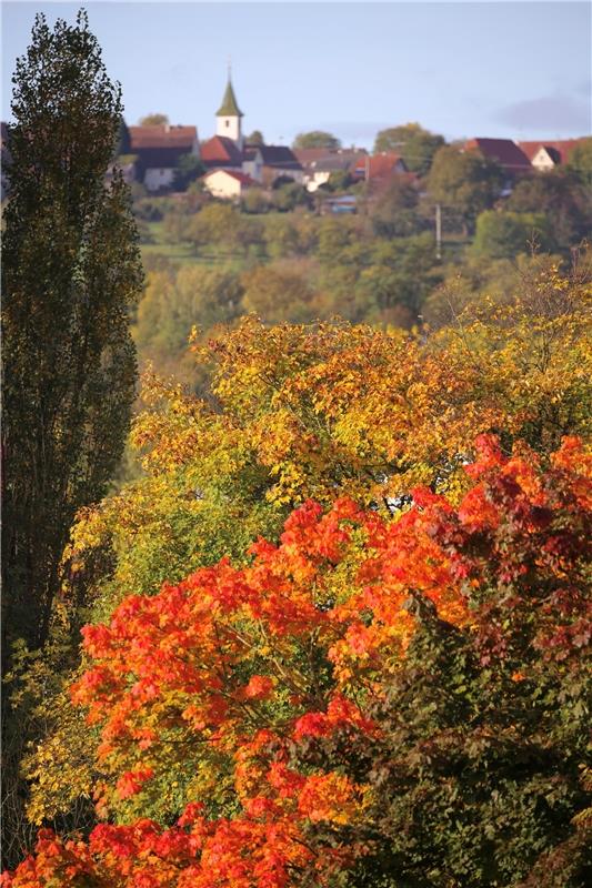  Hubertus Kühner  aus Herrenberg schickt diesen herbstlichen Blick auf Haslach e...