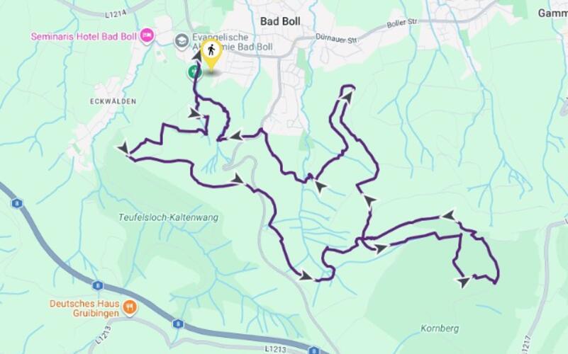 14 Kilometer lang ist die „Berta-Hörnle-Tour“.GB-Repro: wwwloewenpfade.de