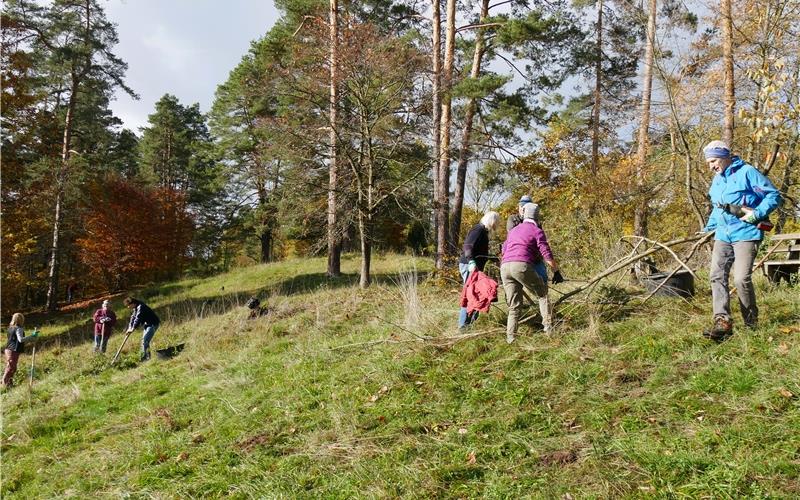 19 Ehrenamtliche beseitigten aufkommende Gehölzschösslinge in der Nähe von Rohrau. GB-Foto: gb