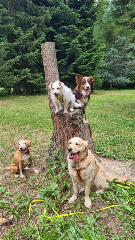 4 Freunde ❤️ Fotografiert von Peter Maahs aus Herrenberg.