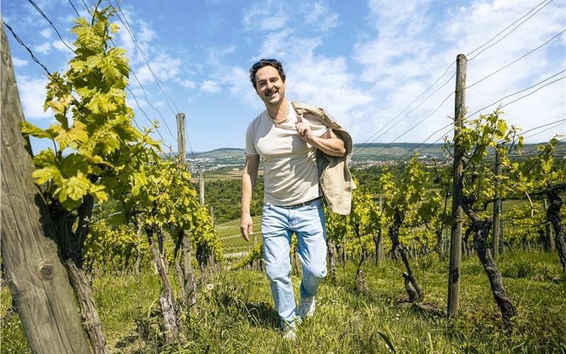Ab in den Weinberg…GB-Foto: SMG/ Sarah Schmid