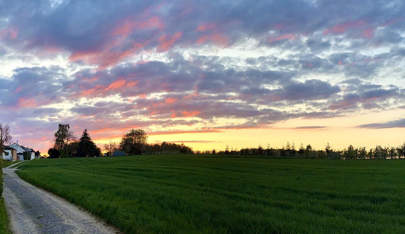 Abendrot am Feldrand.  Von Minja Rollinson aus Gäufelden.