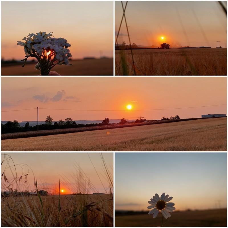 Abendstimmung in Mönchberg, eine Collage der zwölfjährigen Hanna Kegreiß. 