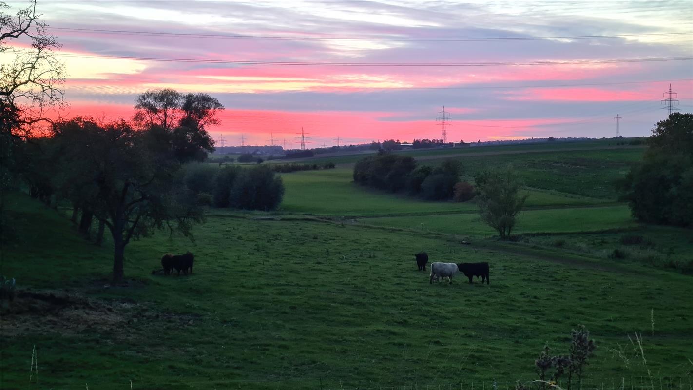 Abendstimmung mit Schlossbergrind. Von Mirjam Krämer aus Nufringen. 