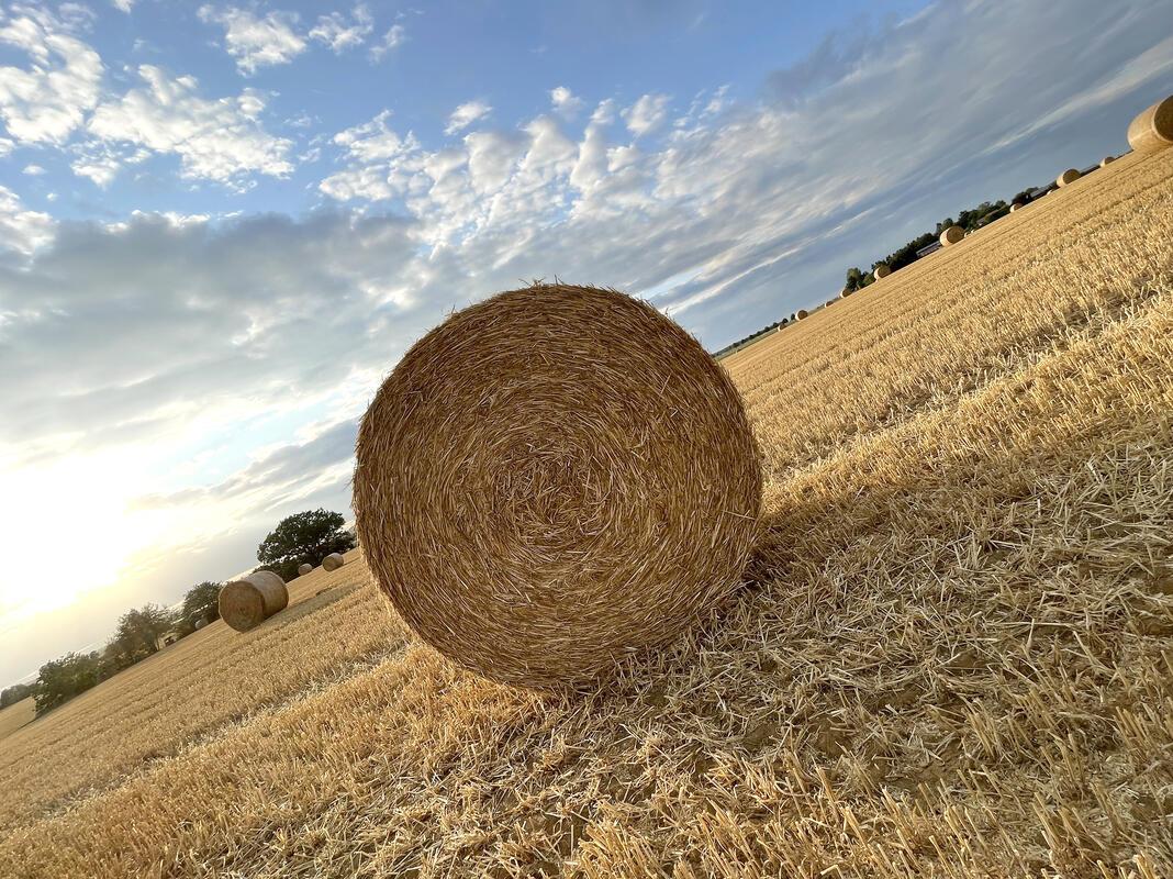 Abendstimmung zwischen Bondorf und Hailfingen.  Von Sibylle Kienzle aus Hailfing...