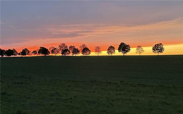 Abendstimmung zwischen Hailfingen und Bondorf (aufgenommen von Sibylle Kienzle aus Hailfingen)
