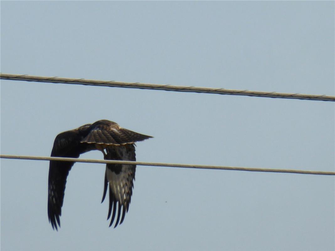Abflug nach dem Stromtanken.  Von Hans-Joachim Borowy aus Gärtringen.