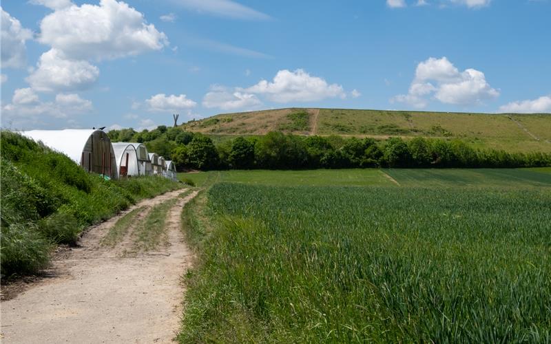 Abgesehen von dem geplanten Solarpark gibt es erste Ideen der Gemeinde, einen Teil des Hochplateaus zukünftig gegebenenfalls auch der Öffentlichkeit zugänglich zu machen – etwa als Aussichtspunkt.GB-Foto: Nüssle