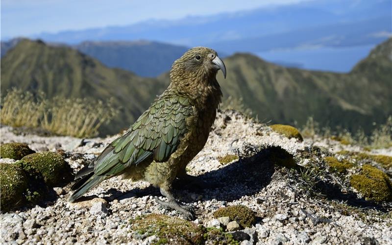 Achteinhalb Monate lang hat Simon Rudolf die Welt bereist – er war etwa in Nepal, Ecuador und Kanada GB-Fotos: gb