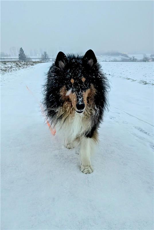 Aki ist bei jedem Wetter richtig angezogen.  Von Eva Althoff-Nüßle  aus Herrenbe...