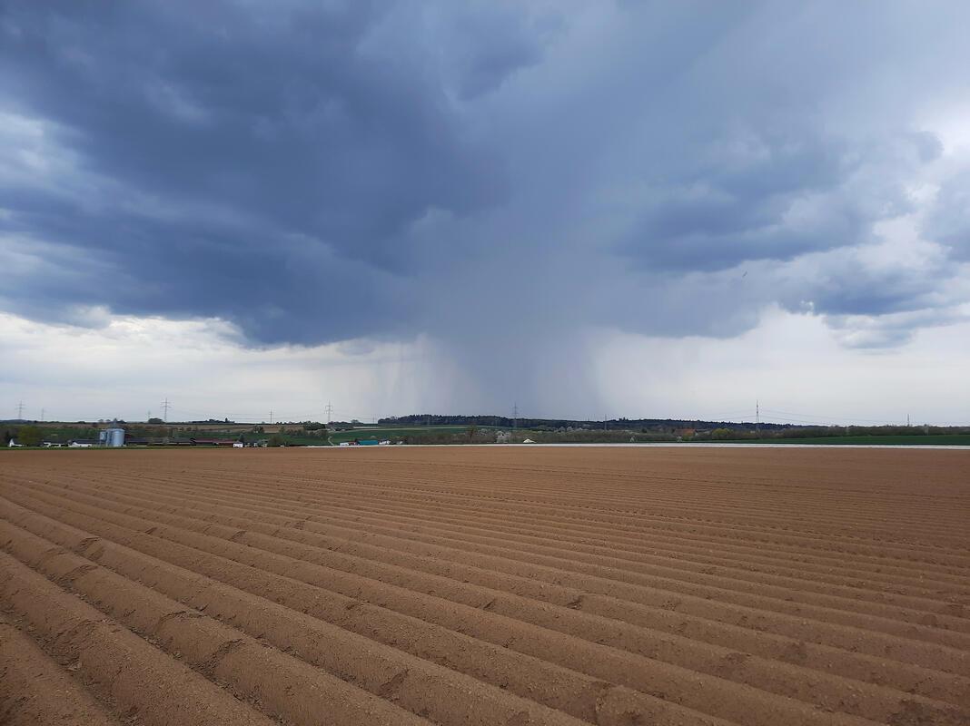Akkurat bestelltes Feld, der Regen kann kommen.  Von Heiko Weiß aus Gäufelden.