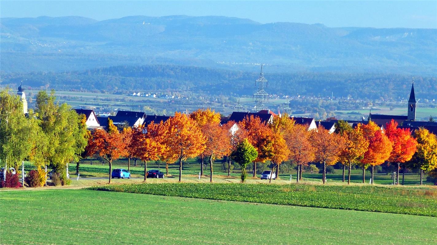 "Allee zwischen Kirchen" nennt  Klaus Pfisterer  diesen Leserschnappschuss, den ...