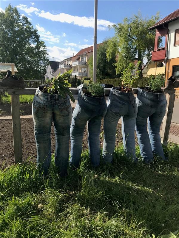 "Alles bio", verspricht Ralph Glemser, der diese "Jeanshosenkräuter" bei Gültste...