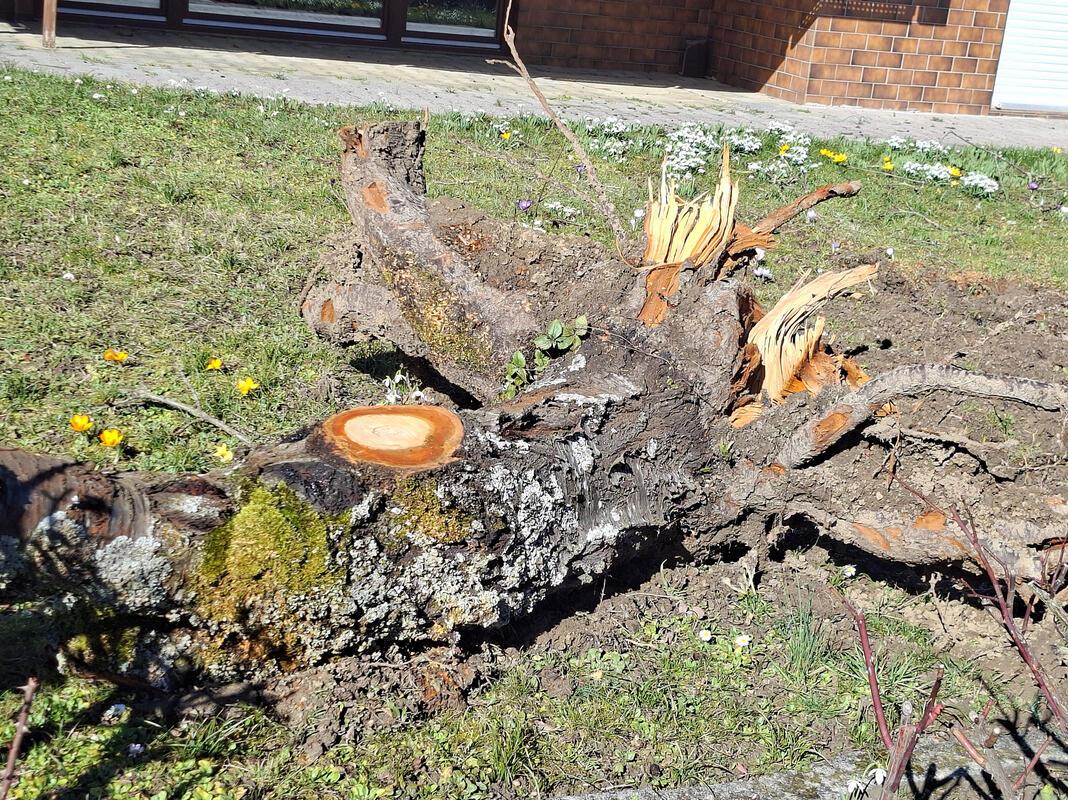 Alles hat seine Zeit.  Von Maria Tabitha Weisse aus Herrenberg.