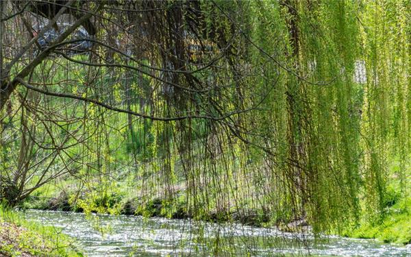Alles ist im Fluss (gesehen in Reusten) GB-Foto: Vecsey