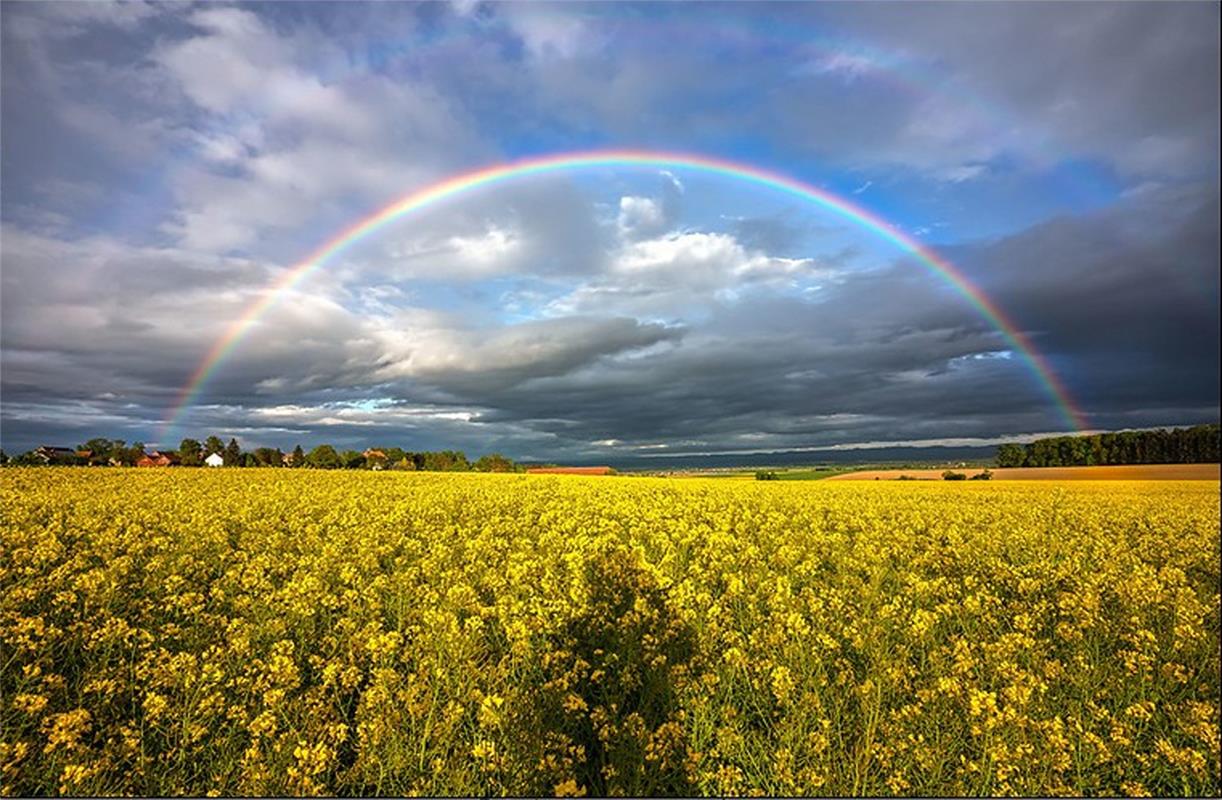 "Am 1.Mai hat es am  Abend diesen Regenbogen gegeben", sagt Sonja Sayer aus Sind...