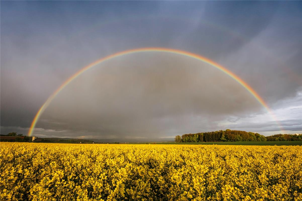 Am Dienstagabend zeigte sich kurz dieser Regenbogen über Jettingen, berichtet So...