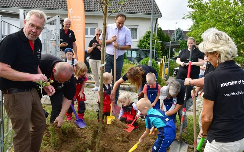 Am Kindergarten Pusteblume wird ein Apfelbaum gepflanzt GB-Foto: Holom