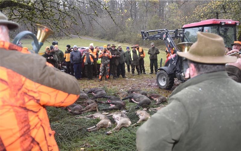 Drückjagd erfordert am Samstag die Sperrung der L1184 Am Samstag wird im Schönbuch wieder geschossen, mit Auswirkungen auf den Verkehr. GB-Foto (Archiv): gb