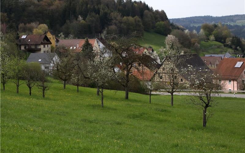 Am Sulzer Ortseingang aus Richtung Oberjettingen soll das neue Gerätehaus der Feuerwehr entstehen – diskutiert wurde jetzt über die Kosten. GB-Foto: Priestersbach