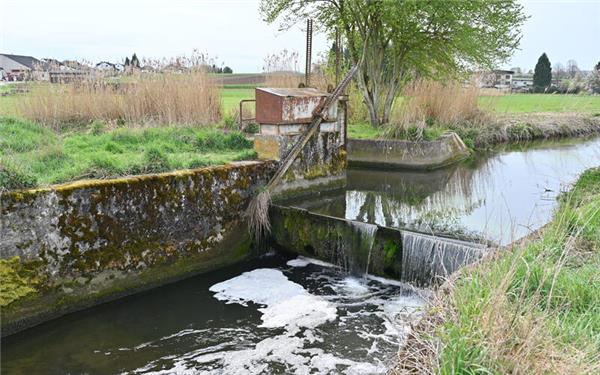 Am Wehr der Ammer wird das Wasser gestaut. Ein Teil des Überlaufs speist den Mühlkanal, der andere fließt über die Sperre der Stauwehranlage und bleibt in der Ammer. GB-Foto: Reichert