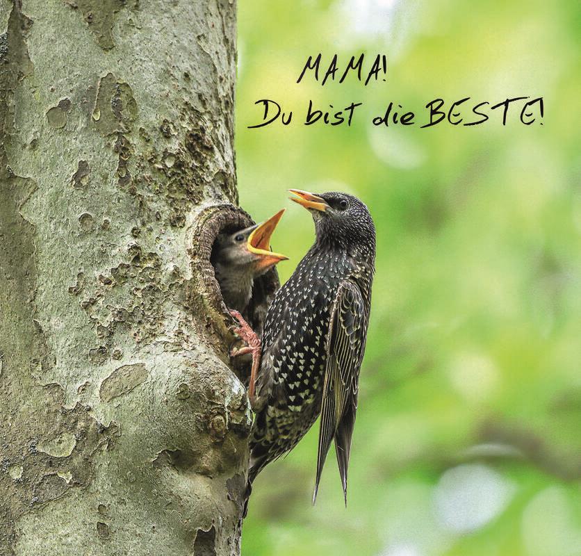 An alle Mamas. Von Natalie Politz aus Hildrizhausen.