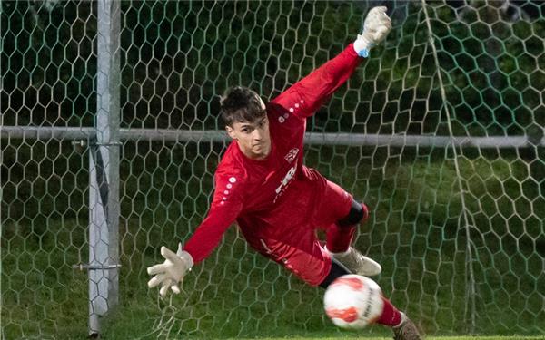 An diesen scharf von Simon Müsel getretenen Elfmeter kommt SVD-Keeper Lars Pfeifer nicht mehr ran – 0:1. GB-Foto: Vecsey
