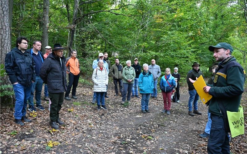 An verschiedenen Stationen erläuterte Förster Daniel Frohnmaier den Nufringer Wald. GB-Foto: Reichert