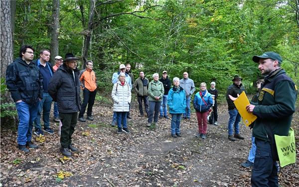 An verschiedenen Stationen erläuterte Förster Daniel Frohnmaier den Nufringer Wald. GB-Foto: Reichert