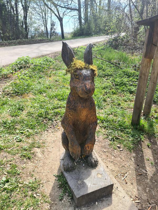 Angesagter, frühlingshafter Frisurenstyle in der Tierwelt?  Von Diana Armbruster...