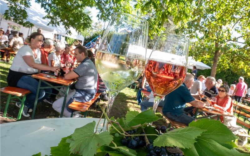 Angestoßen werden durfte am Wochenende im Otto’schen Garten bei der Spätsommerhocketse der Schlossberghexen. GB-Foto: Vecsey