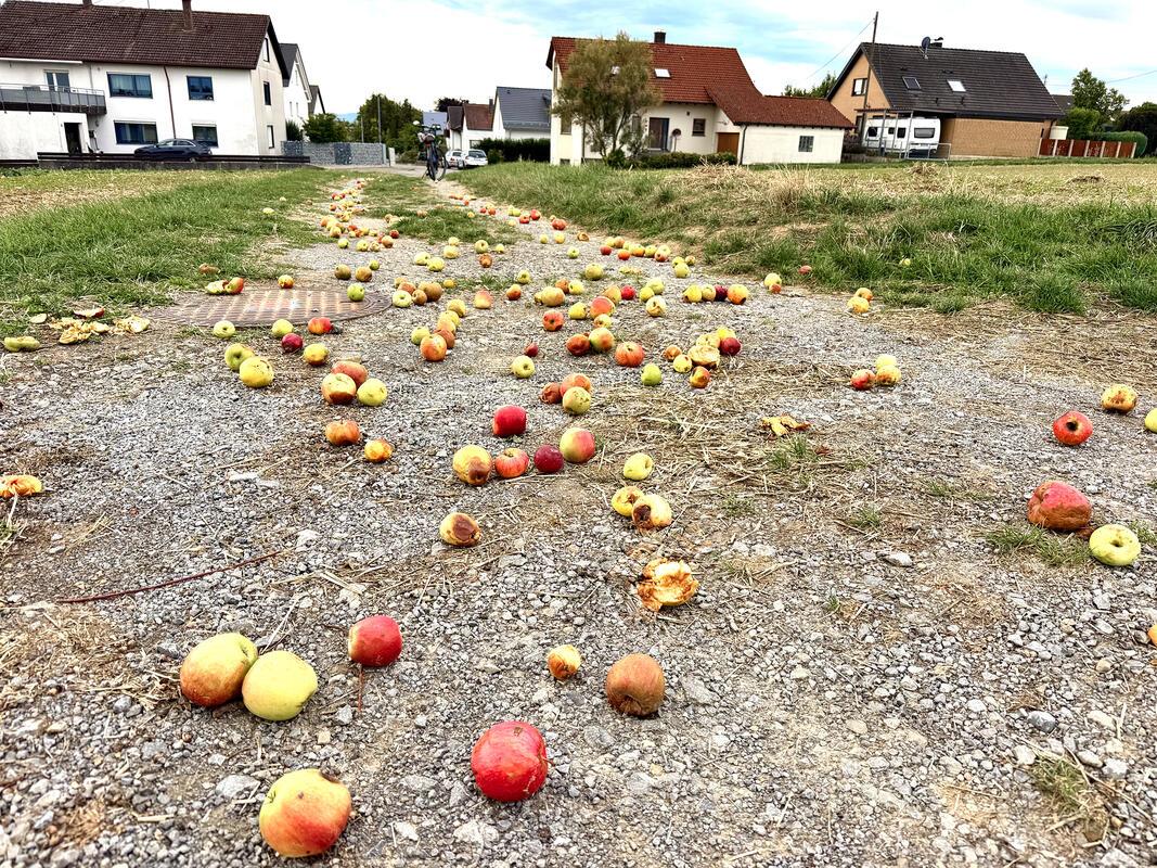Anhänger zu voll oder Weg zu holprig – das ist hier die Frage.  Von Minja Rollin...