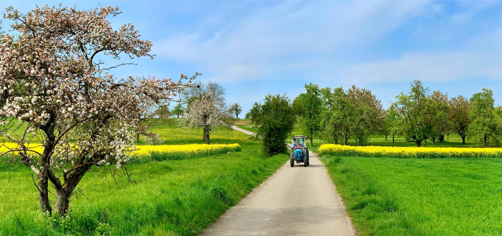 Arbeitsende – auf dem Heimweg... Von Minja Rollinson aus Gäufelden.