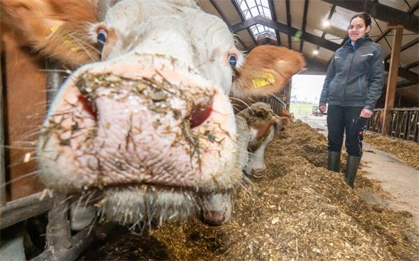 Auch Deborah Haag hofft darauf, dass sie in diesem Jahr noch ein drittes Mal Futter für ihre 40 Kühe ernten kann. GB-Foto: Vecsey