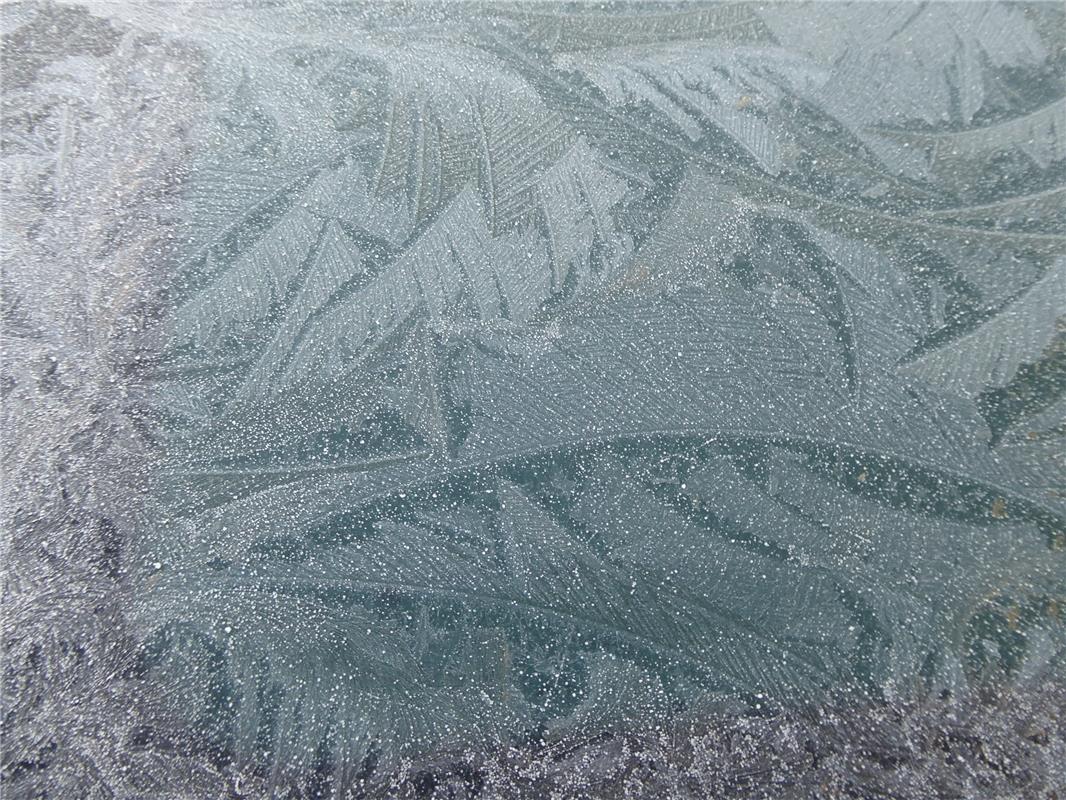 Auch Eisblumen gibt es nicht mehr so oft, findet der Rohrauer Hans-Joachim :Boro...