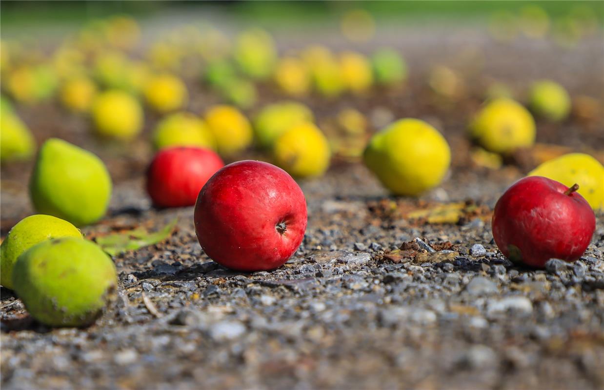 Auch Insta, Erschienen: Erntezeit ...  Von Natalie Politz aus Hildrizhausen.
