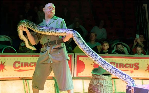 Doppelt so viel Platz wie vorher