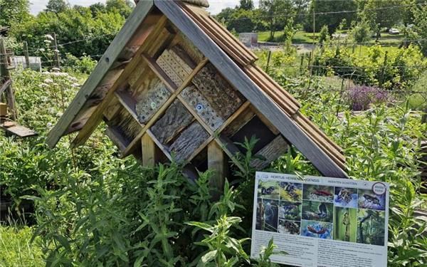 Auch der Hortus Herrenbergensis steht die Gartentüre offen.GB-Foto: Stadtverwaltung Herrenberg