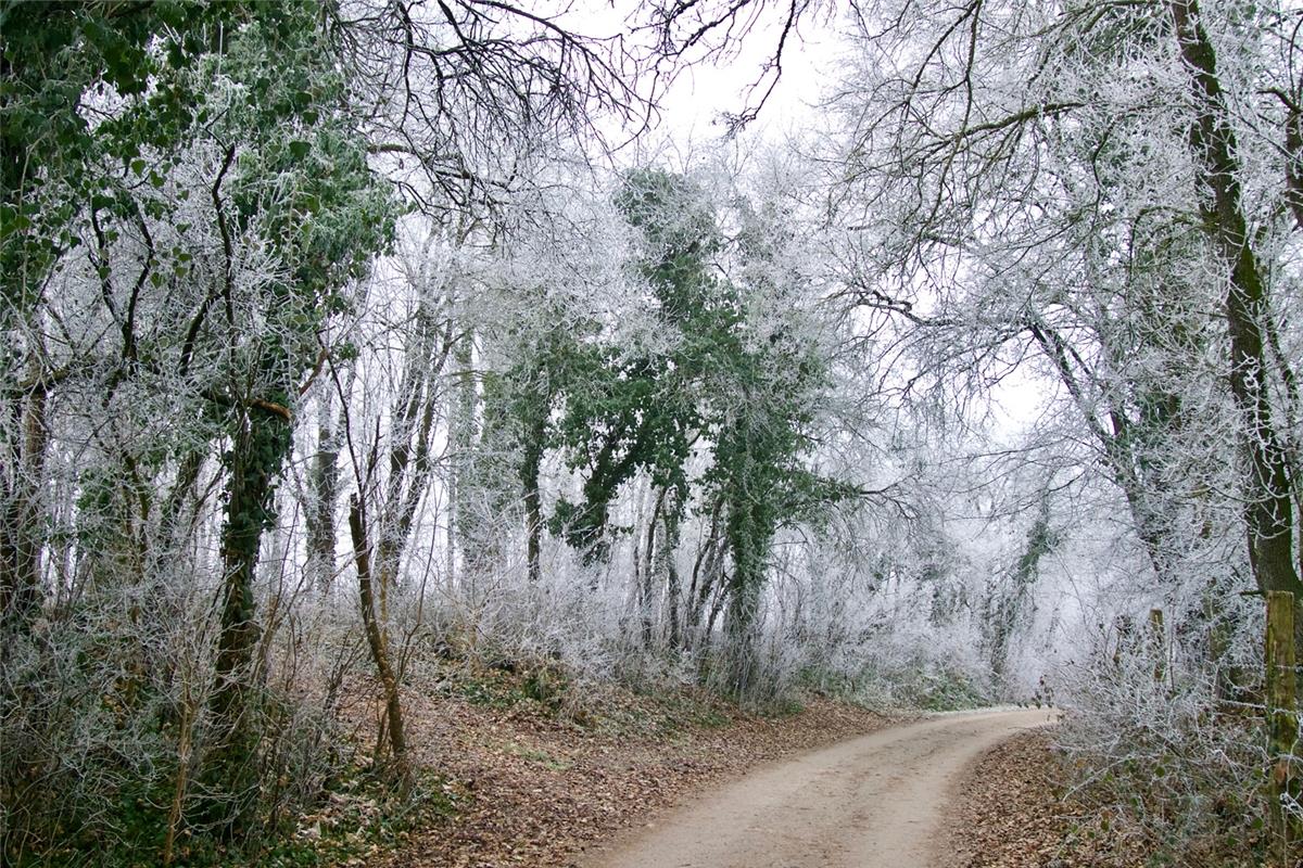 "Auch ein Winter ohne Schnee kann schön sein, fast wie im Märchen", findet Eugen...