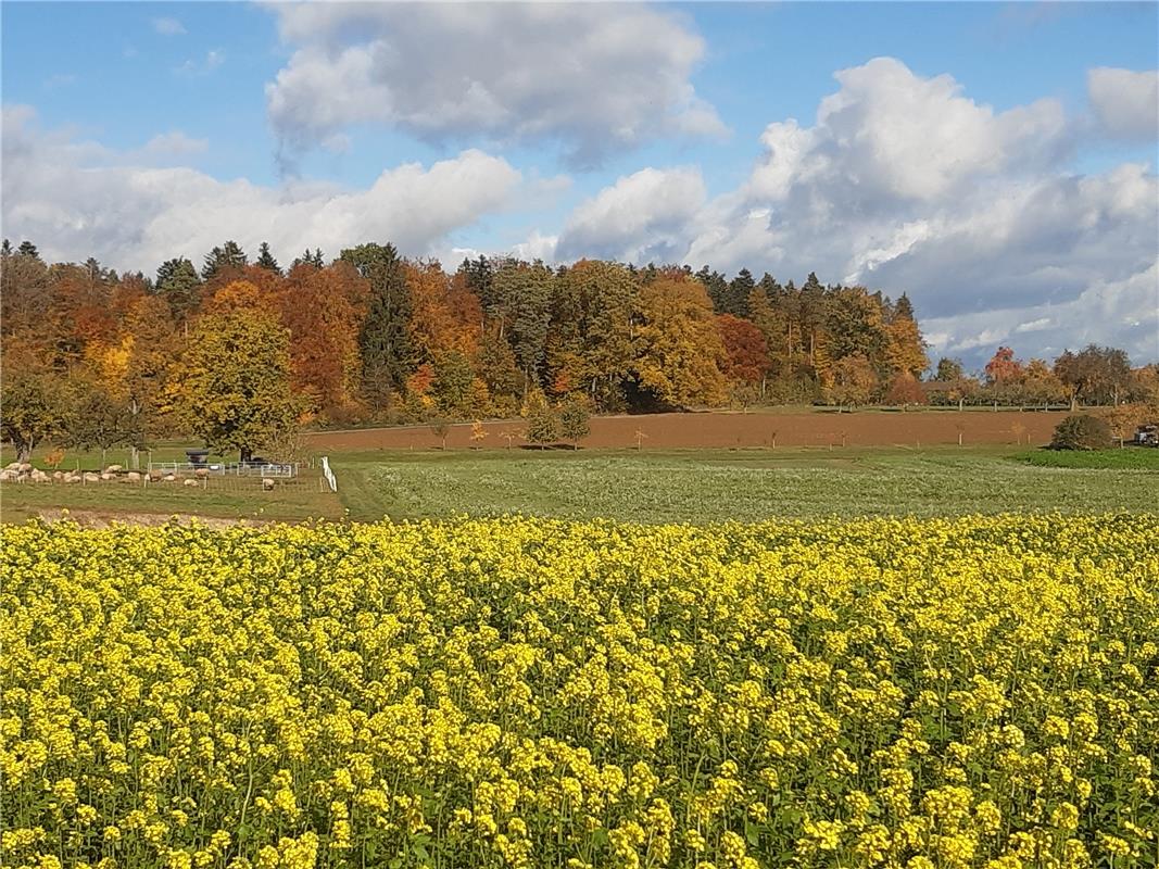 Auch im schönen Herbst lohnen sich Fahrradrunden, hat Maria Weisse in Oberjesing...