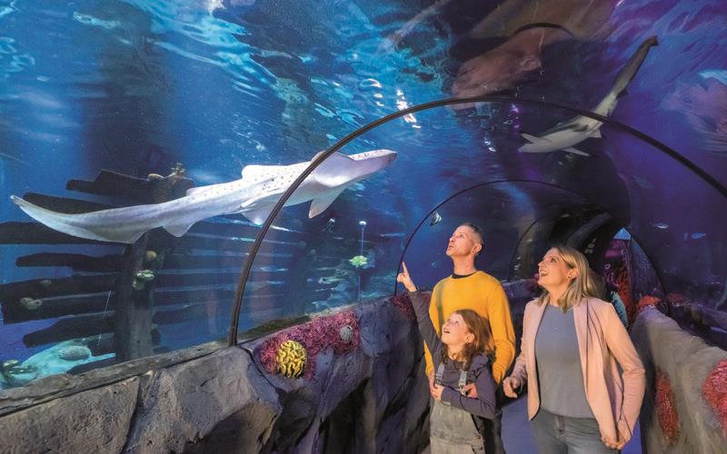 Auch interaktive Erlebnisse kommen im Sea Life nicht zu kurz. GB-Foto: Sea Life Konstanz, Martin Hangen/hangenfoto