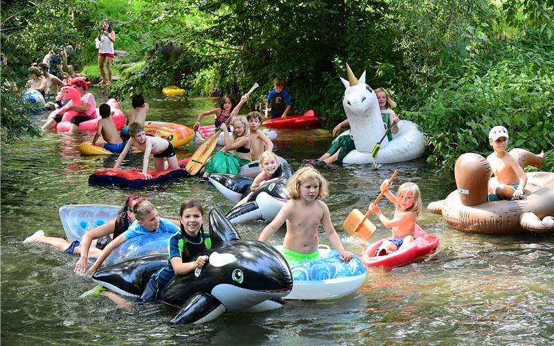 Plansch in der Ammer soll Bürger sensibilisieren Auf Delfin, Einhorn und noch mehr: Eine sommerliche Fahrt auf der Ammer GB-Foto: Holom