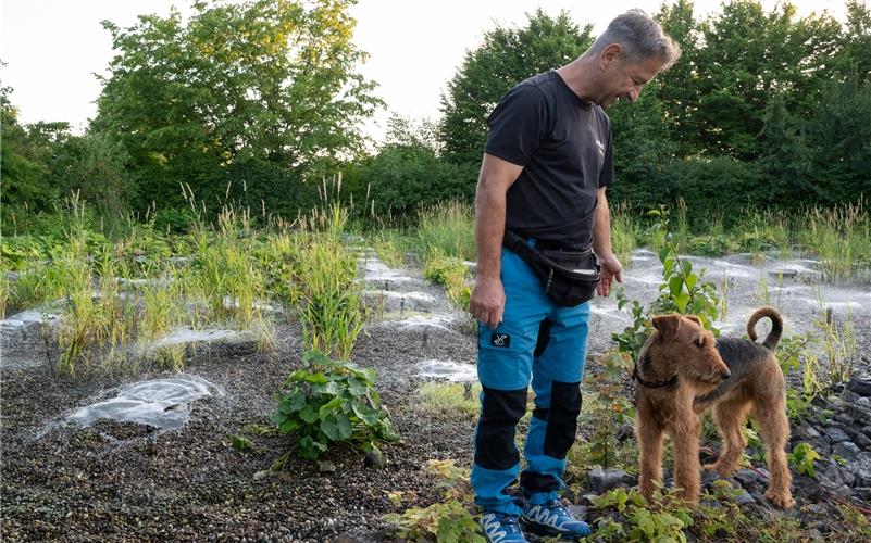 Auf Teichhuhn-Patrouille im Herrenberger Naturfreibad: Jochen Rausch mit seiner Airedale-Terrier-Hündin Leni. GB-Foto: Vecsey