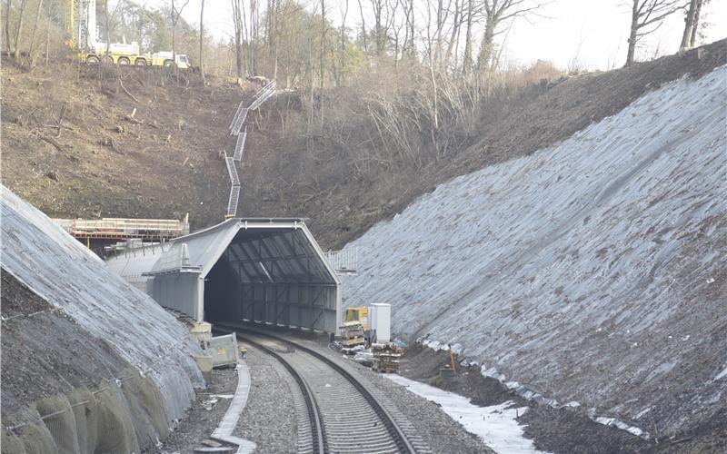 Auf beiden Seiten der historischen Tunnelröhren wurden zum Schutz der Fledermäuse 80 Meter lange Vorbauten angebracht und die Hänge zum Gleiskörper von Bäumen und Büschen befreit. GB-Foto: Reichert